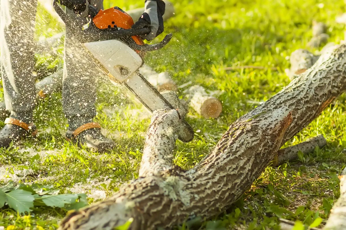 Elswick Tree Services