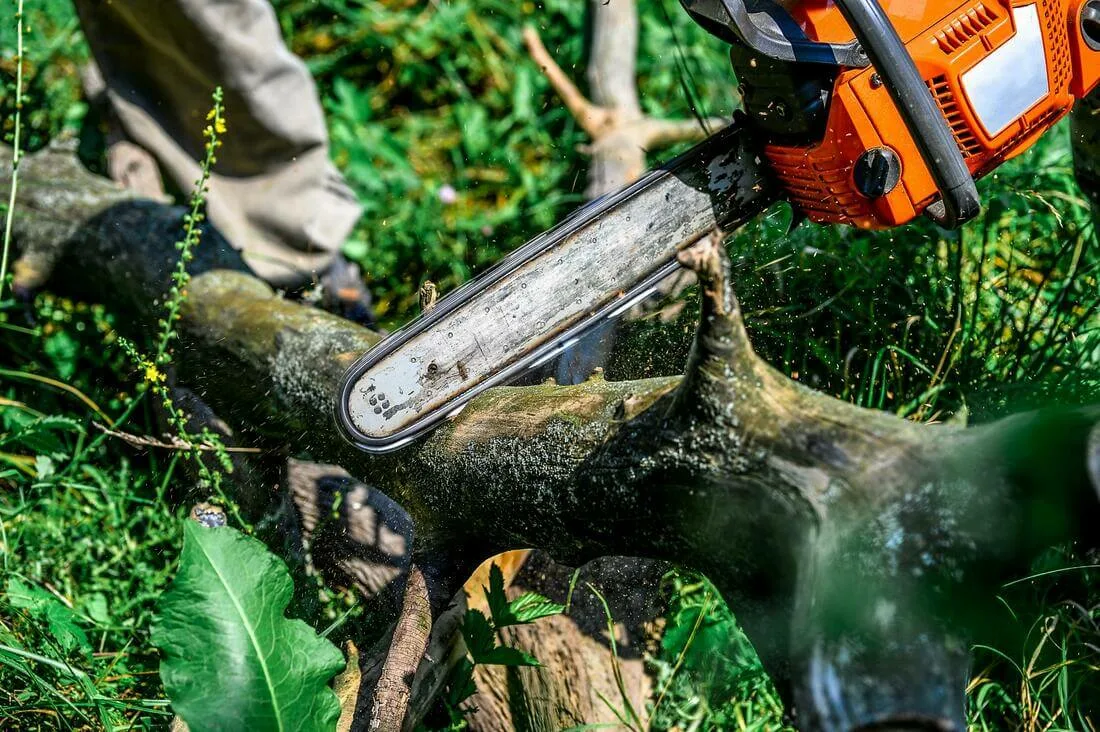 Preesall Tree Services