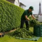 Does Hedge Cutting Include Waste Removal in Blackpool 85x85