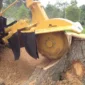 Tree Stump Removal in Blackpool 85x85