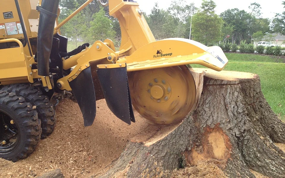 Tree Stump Removal in Blackpool — Is It Safe?