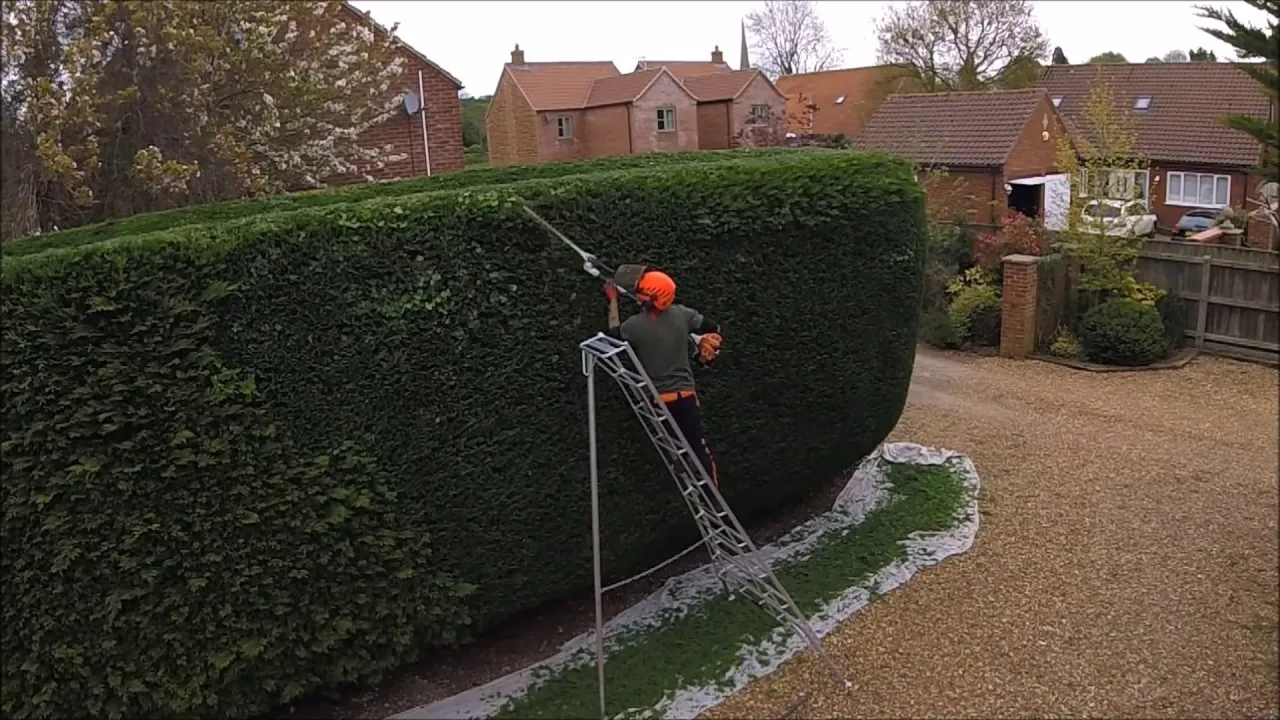 How Long Does Hedge Trimming Take in Blackpool?