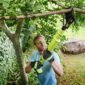 Is Tree Stump Removal in Blackpool Safe for My Garden 85x85