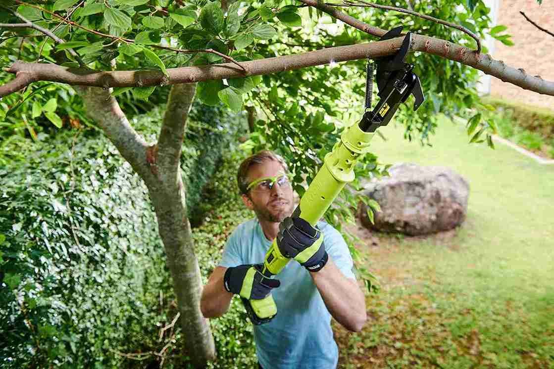 Is Tree Stump Removal in Blackpool Safe for My Garden?